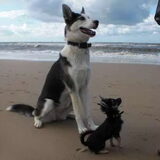 Dit ben ik op het strand met mijn kleine vriendin Jayla.