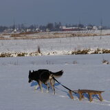 winter 2010 met het sleetje!