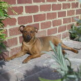 Xena