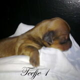 Lief!!