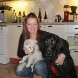 Foto van Stephanie & Tysen