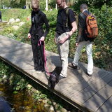 Foto van Eef en Tjibbe