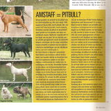 amstaff=pitbull