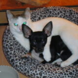 miauw..en pinky. de 2 beste maatjes haha.!!
