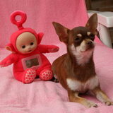 fienje met haar knuffel
