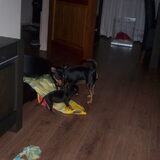 Samen spelen