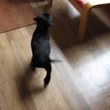 waarom mag ik daar nou weer niet op??