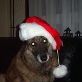 Onze Kerst "muts" * In Heaven *
