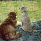 Ja en toen moest weer het gras gemaaid worden!!