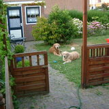 nog even wachten gaan we zo met water spelen ,vind de baas ook leuk de…