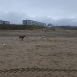 wandelen op strant zandvoort:-D