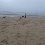wandelen op strand zanvoort:-D