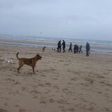 Foto van patricia,  *Spikey* Nino & Lola