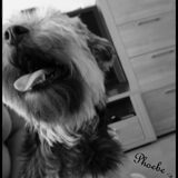 Phoebe mijn schat