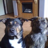 mooi duo