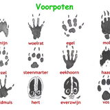 Foto van Eef en Tjibbe