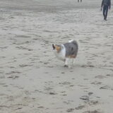 Foto van Chantal