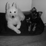 Nova en Jayla