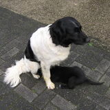 Eefke met haar moeder. Even nog wat drinken.