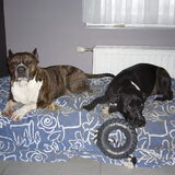 onze matras