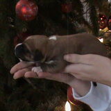 Darcy en Gera hun eerste dagen