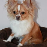 Jay 25-1-2011