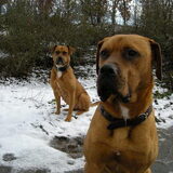 In de sneeuw