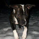 sneeuwpret!