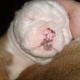 onze mooierd