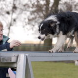 Gea met Eazy