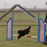 Gea met Hummer