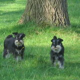 Flo links en Luna rechts