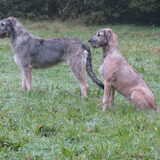 Joy & Jentl