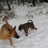 samen met ace spelen....