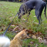 Samen wandelen!