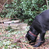 Pépé in de tuin 2