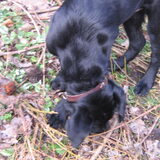 Pépé in de tuin 3