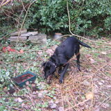 Pépé in de tuin 21