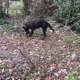 Pépé in de tuin 22