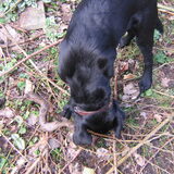 Pépé in de tuin 24