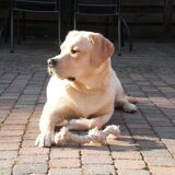 Foto van Ina en Boris