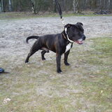 Foto van Djairo
