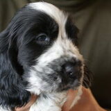 Vind je me niet lief?