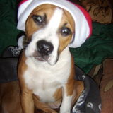 zalige kerst