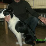 Foto van Ingrid & Sacha