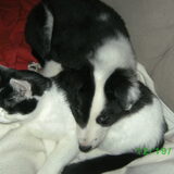 Foto van Ingrid & Sacha