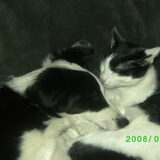 Foto van Ingrid & Sacha