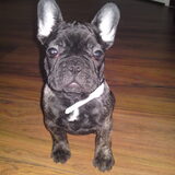 Onze kleine Sophie.
