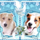 Foto: door Hanne