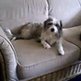 sindy op de bank 2008
